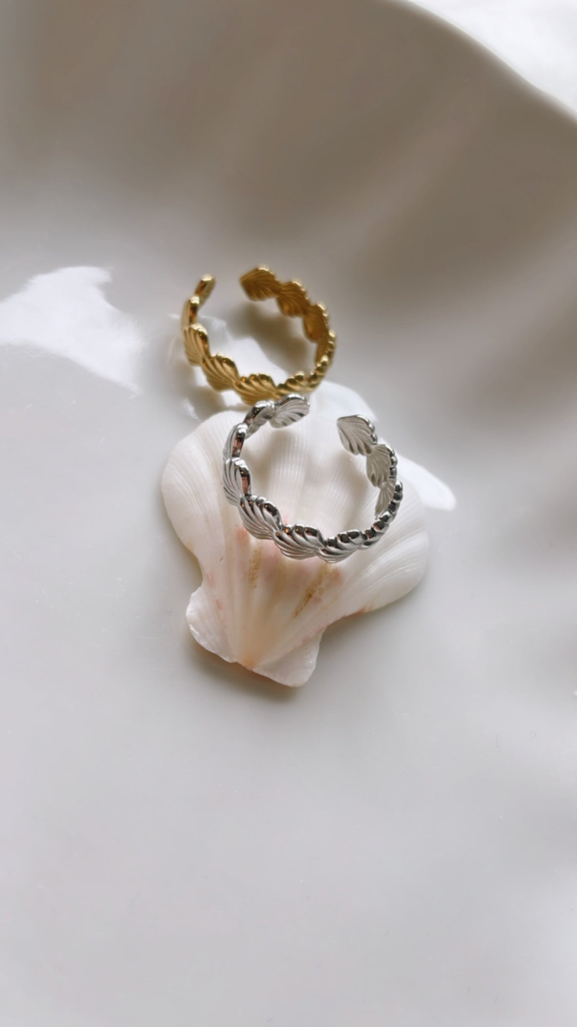 Shell Ring