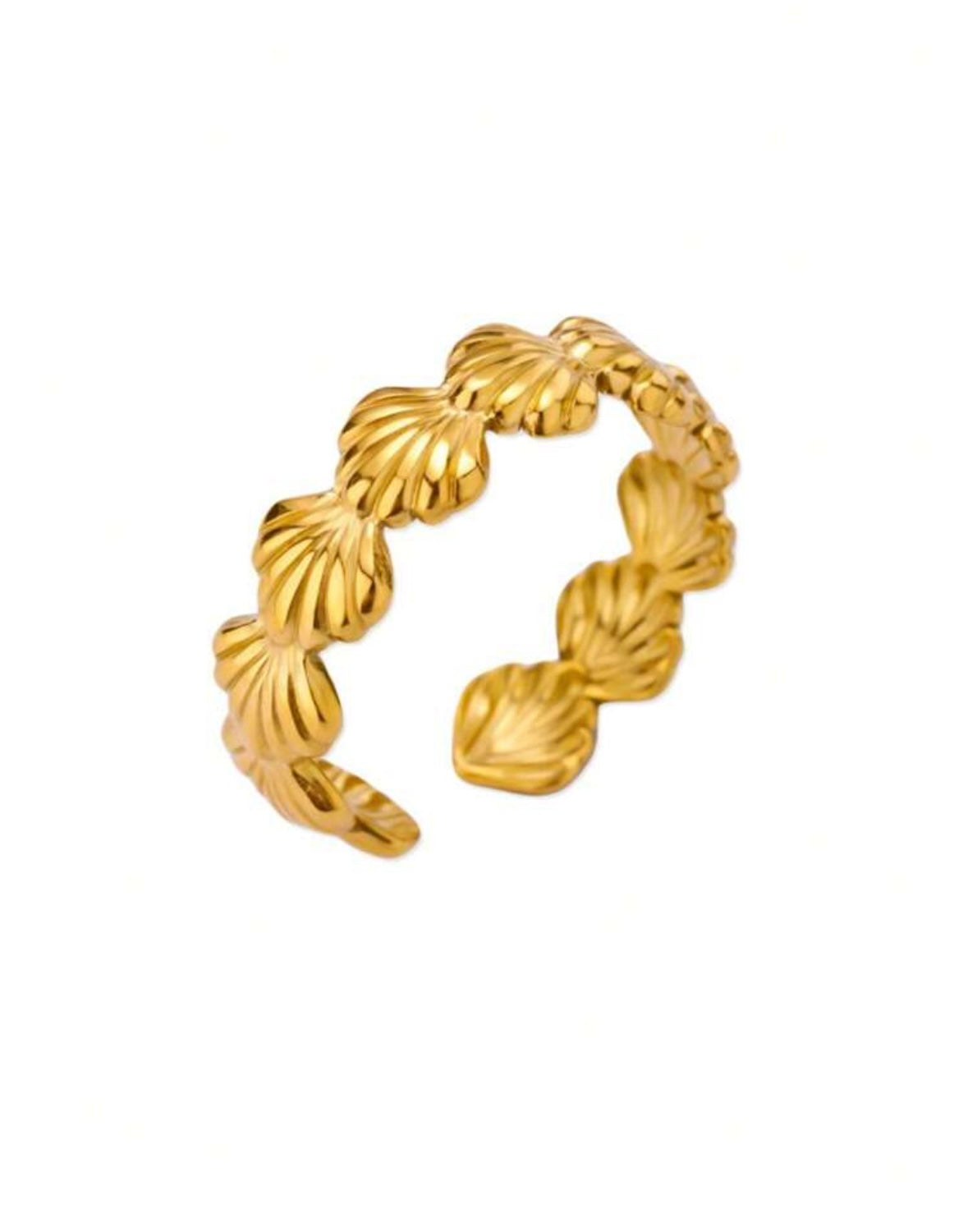 Shell Ring